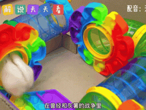360游戏CJ首日：小仓鼠店员送你全家桶套餐