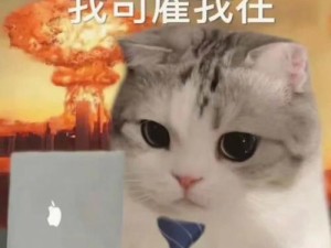 雇猫看店你见过吗？《画江山》摆摊居然这么方便