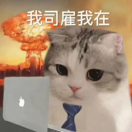 雇猫看店你见过吗?《画江山》摆摊居然这么方便