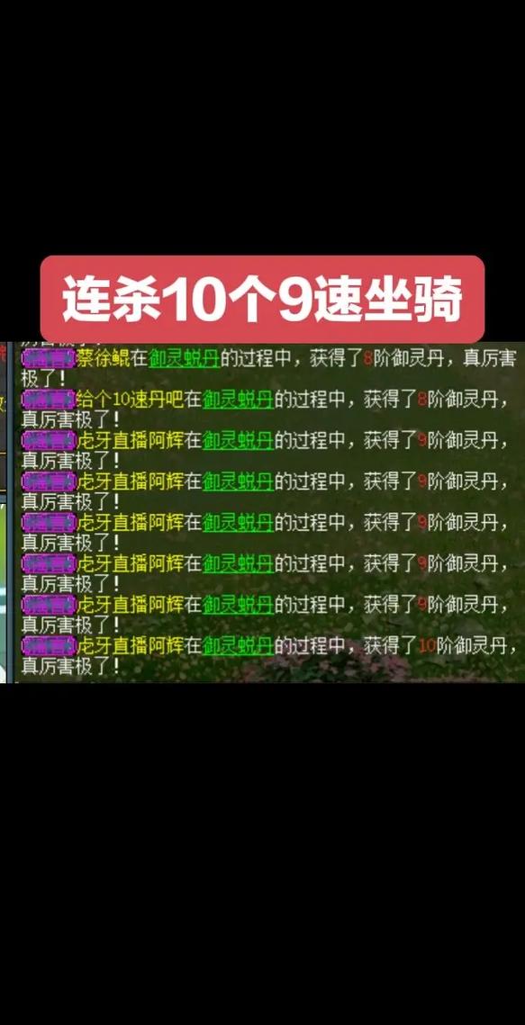骑乐无穷《问道》多人坐骑全解析
